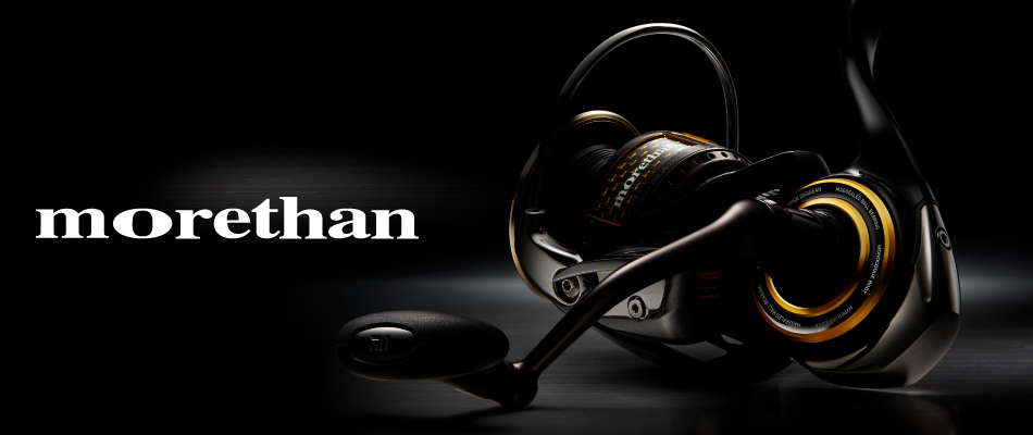 Daiwa 17 Morethan