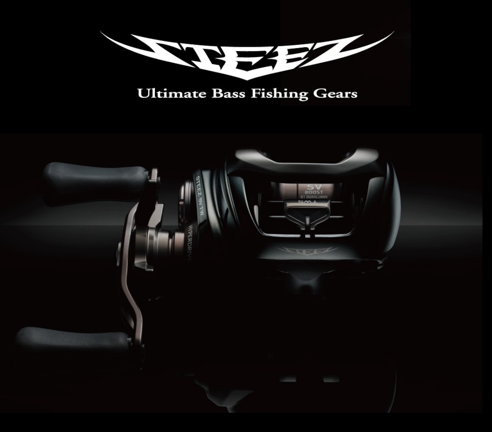 Daiwa 24 Steez SV TW