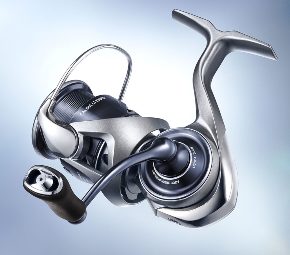 Daiwa 25 Caldia