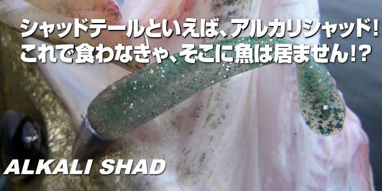 Coreman Alkali Shad 90mm