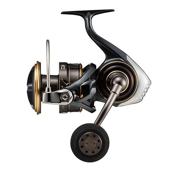Daiwa 22 Caldia SW