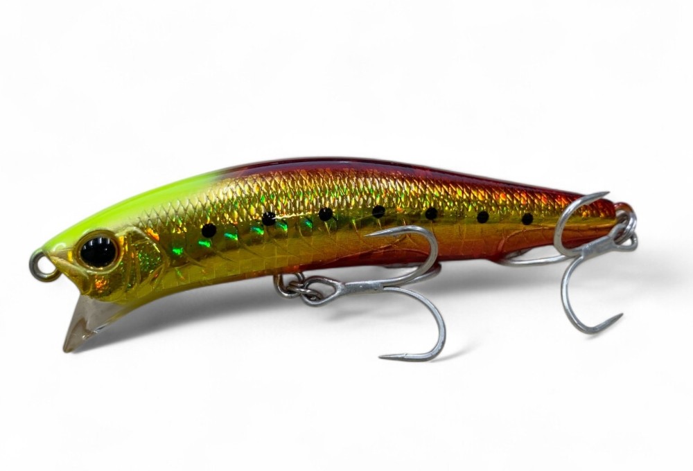 Daiwa Morethan Crosswake 75F SSR - Burning Gold Iwashi