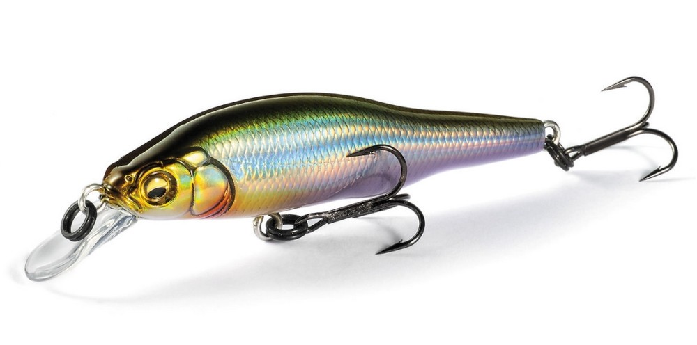 Acheter Leurre à coulage lent Megabass X-80 JR SW GG Iwashi (1676