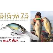 Megabass Big-M 7.5