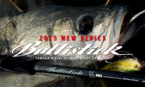 Yamaga Blanks Ballistick 710ML-MH