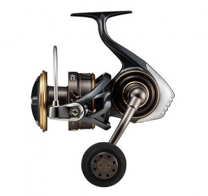 Daiwa 22 Caldia SW