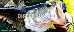 Deps Direct Hustler