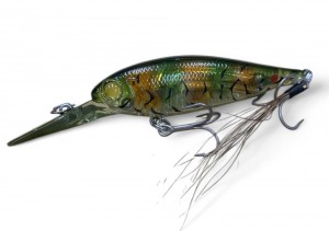 Evergreen Bank Shad Mid - Tenagaebi