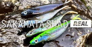 Deps Sakamata Shad Real 8"