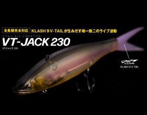 Fish Arrow x DRT VT-Jack 230 Low Floating