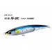 Shimano Ocea Becchu Hiramasa 190F Flash Boost