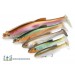 Megabass Magdraft 5" 