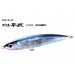 Shimano Ocea Becchu Hiramasa 220F Flash Boost