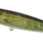 CCC3833 Real Gill II ND