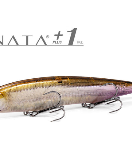 Megabass Kanata+1