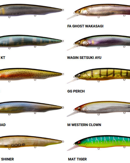 Megabass Kanata+1