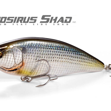 Collection image for: Big Bait / Swim Bait (MB / SW)