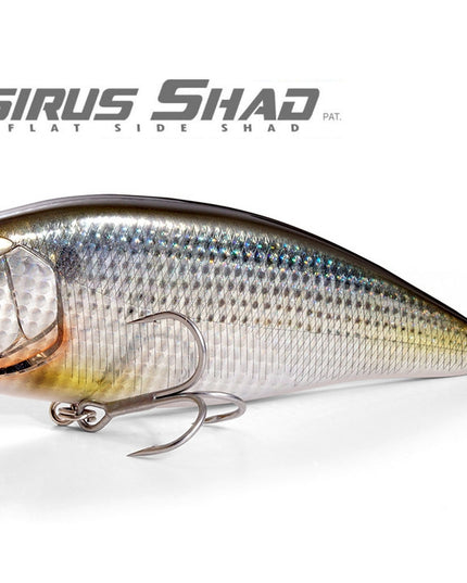Megabass Konosirus Shad